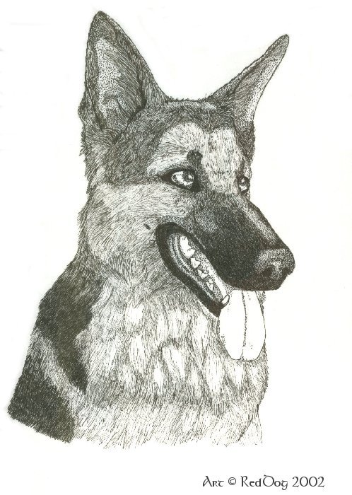 Ink German Shepard