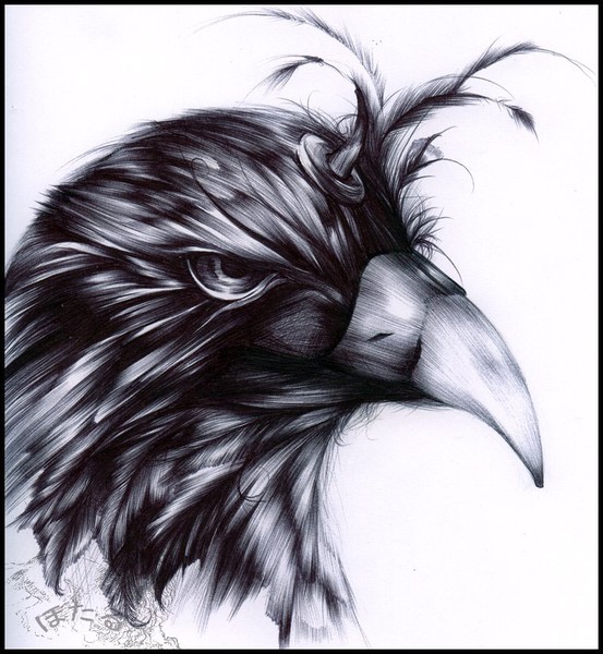 Ballpoint Bird