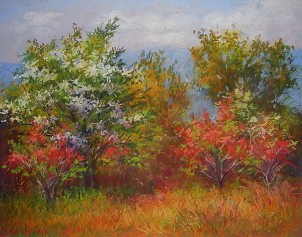 Spring in the mountains