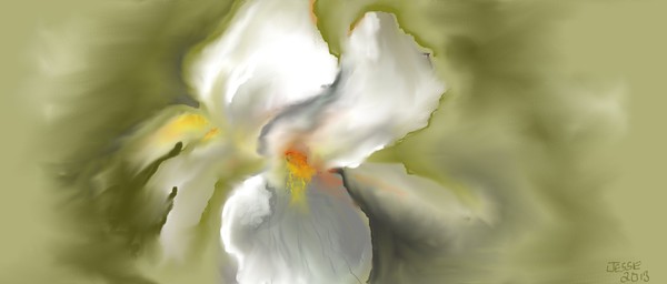 White Iris