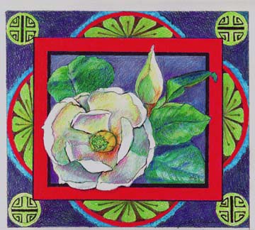Magnolia