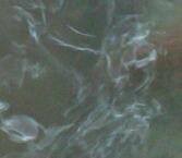winged demon