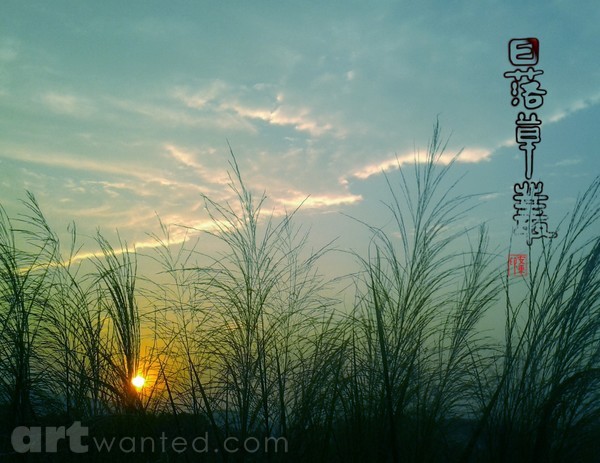reed at sunset