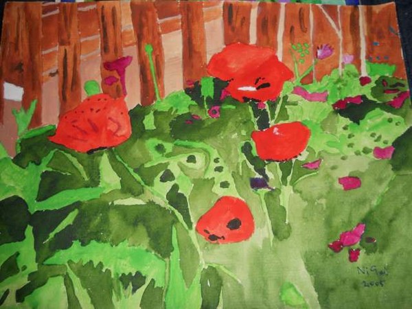 gardenpoppies