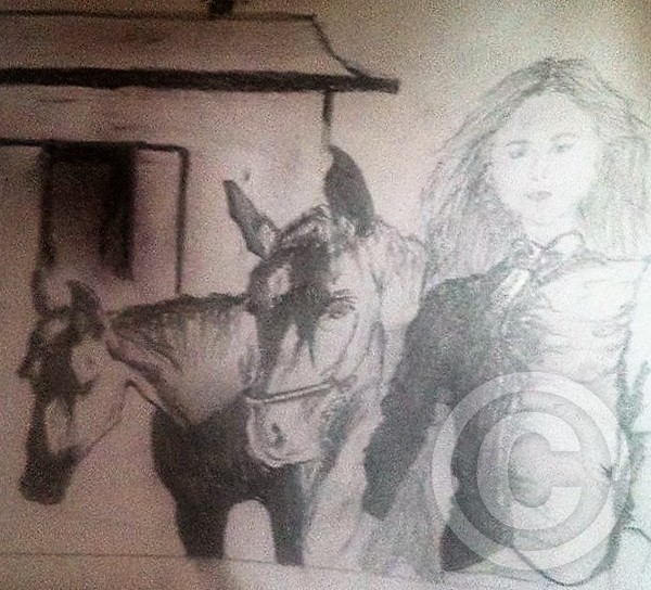A Girl and Her Horses