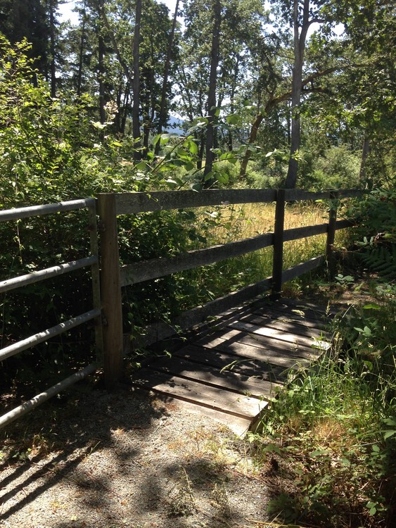 Country walk