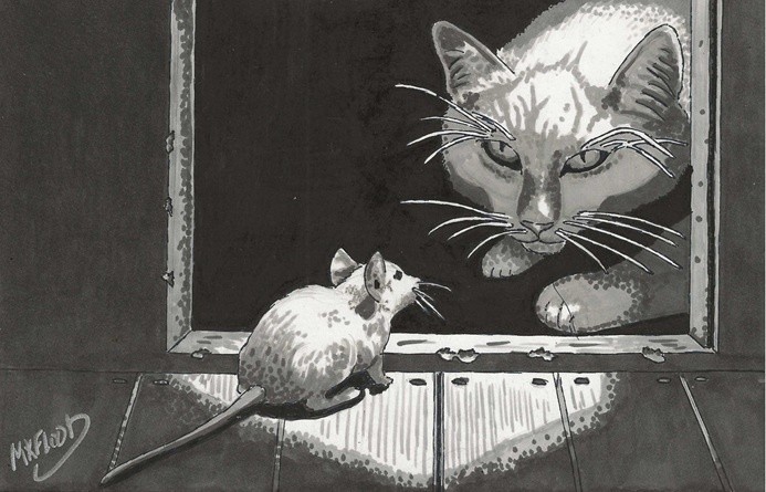 What's the password?