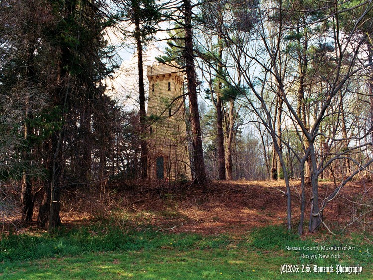 Tower in the woods