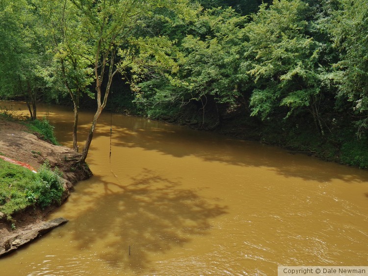 Bend in the Creek