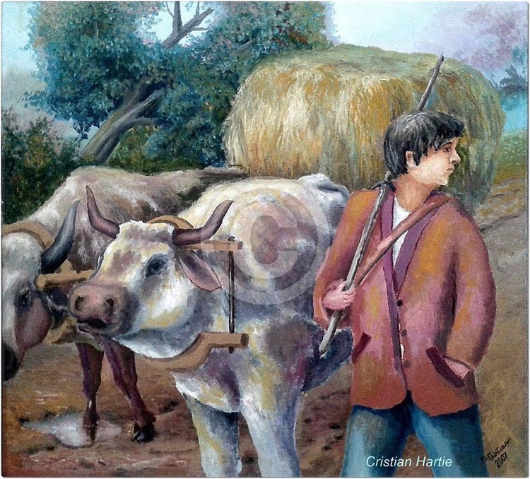 Ionut cu plavanii sai
