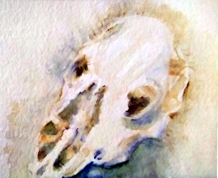 Cow Skull Watercolor
