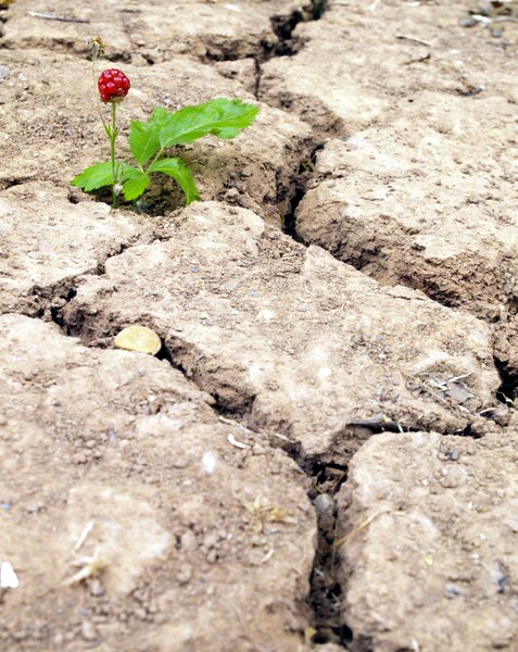 Holding On For Rain