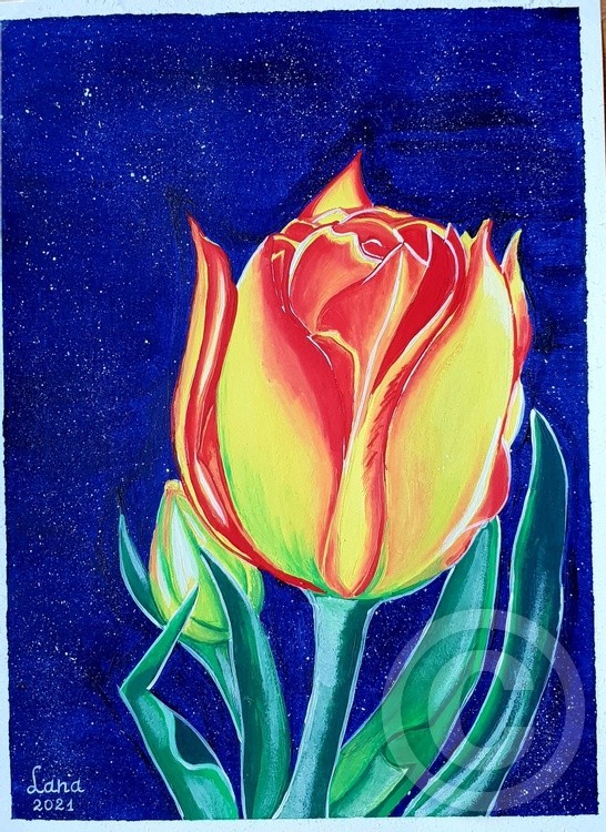 Cosmic Tulip