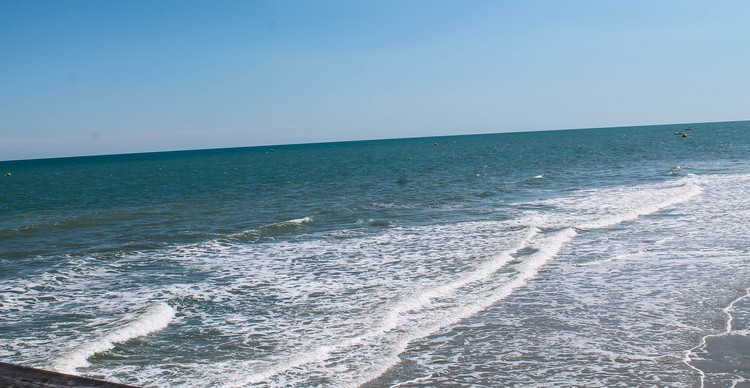 OCEAN