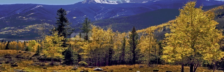 Mountain Fall