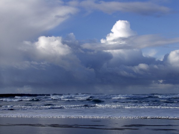 Tower Cloud