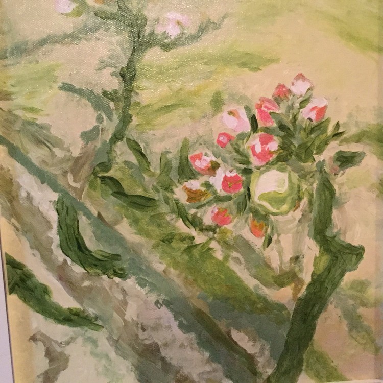IN THE CORNER OF THE GARDEN