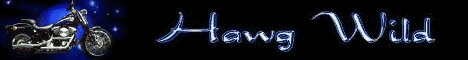Hawg Wild Banner