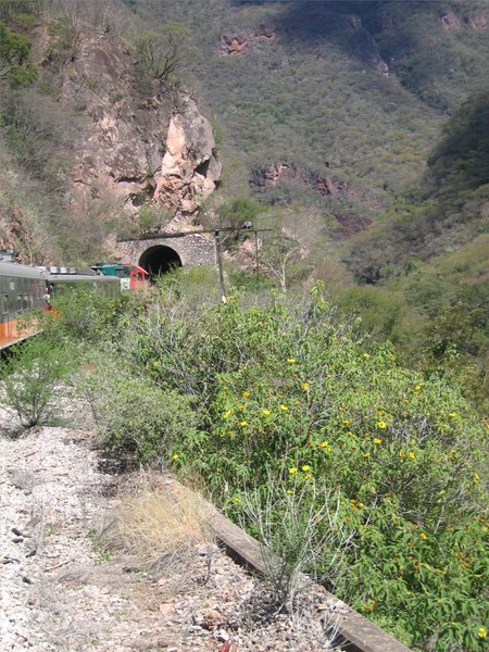 Copper Canyon, Mexico - 4