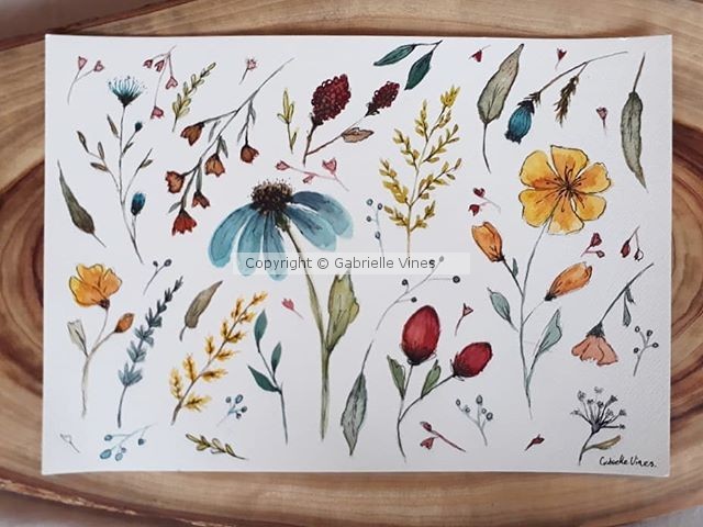 AUTUMN WILDFLOWERS