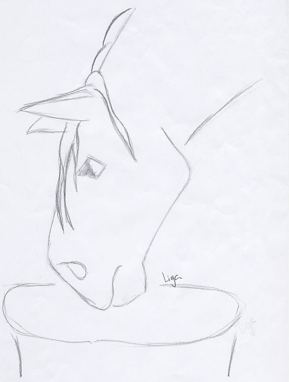 Horse Drawing