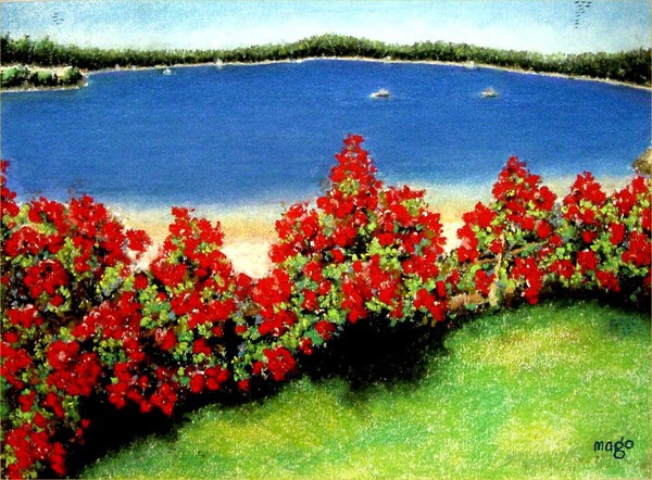 Lakeside Roses