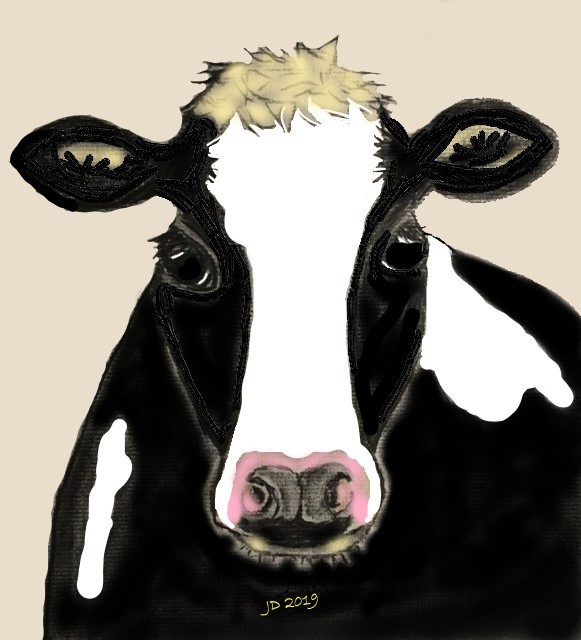 3D Cow 1