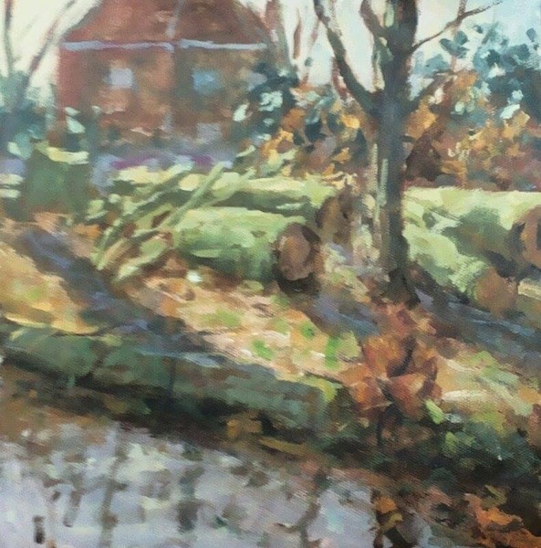 trunks and branches