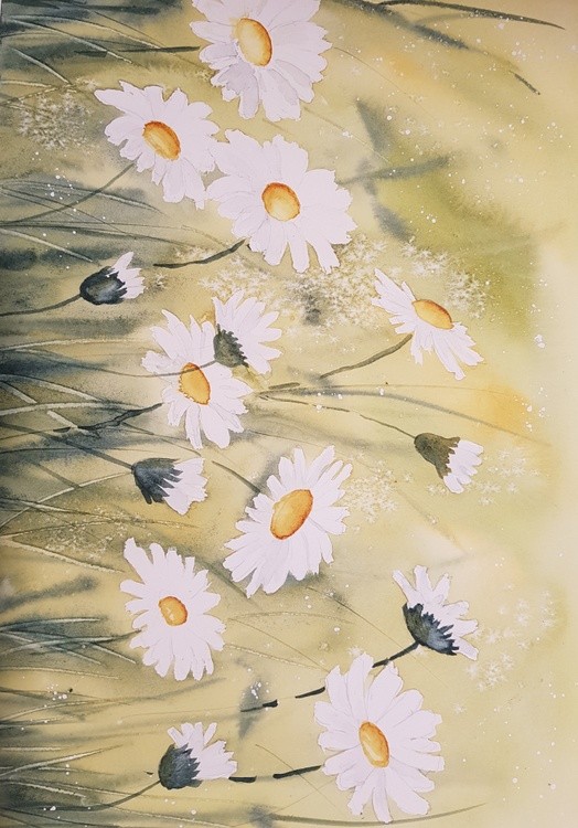 DAISIES IN THE WIND