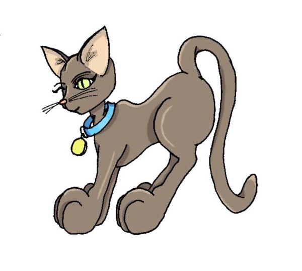 Sassy Cat