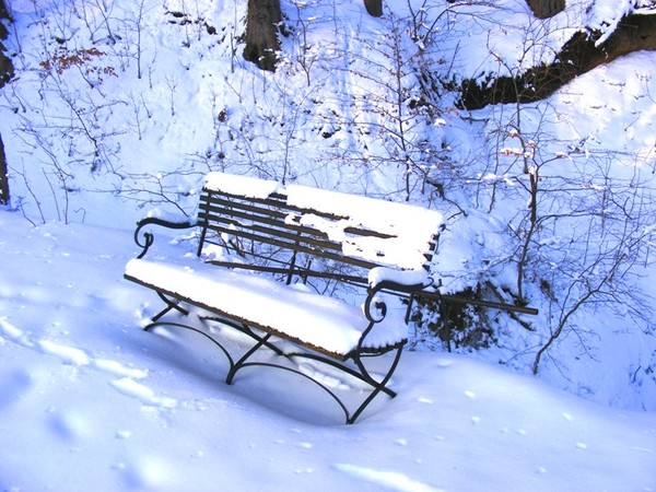 Bench in the Snow