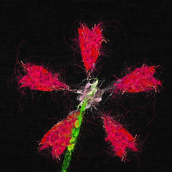 Single Flower