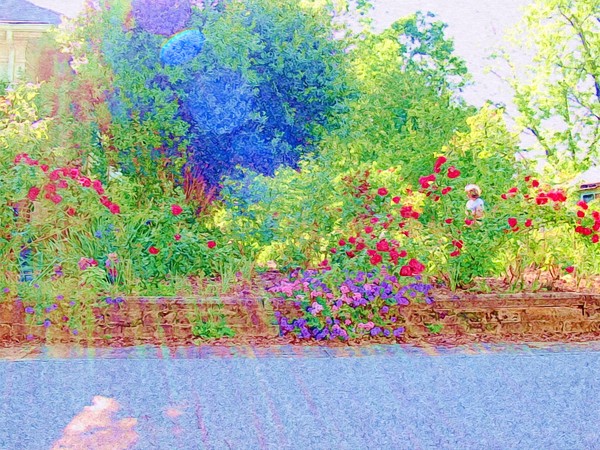 Flower Garden