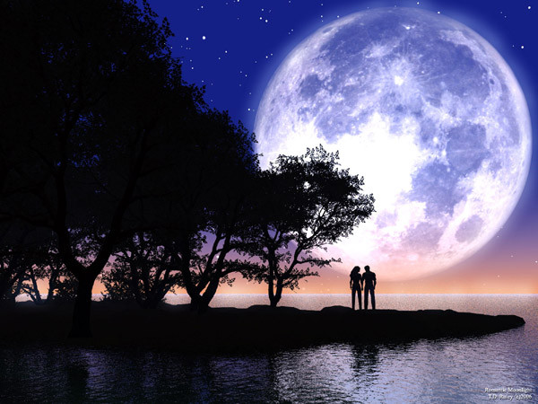 Romantic Moonlight