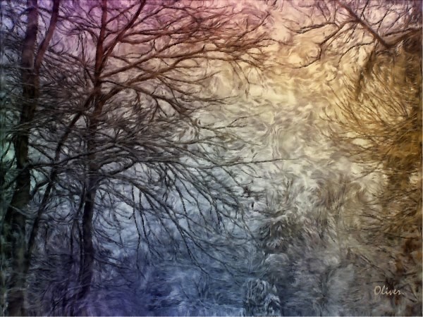 Frozen Skies