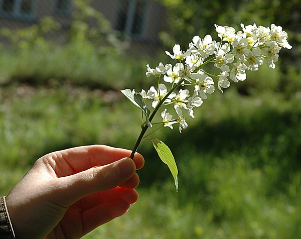 For you