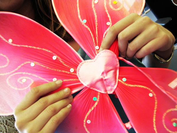 Fairy wings