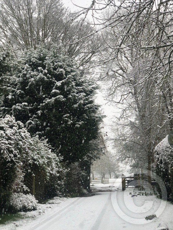 Winter’s Peace 