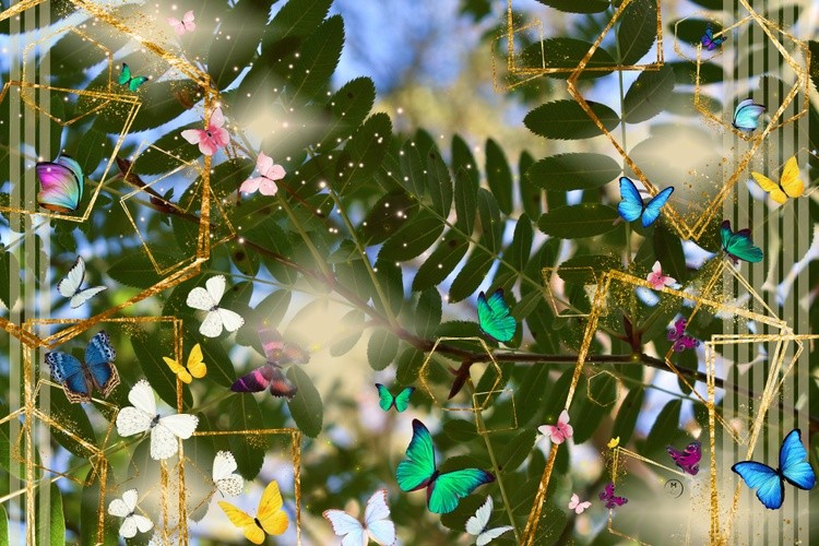 SpringVisions