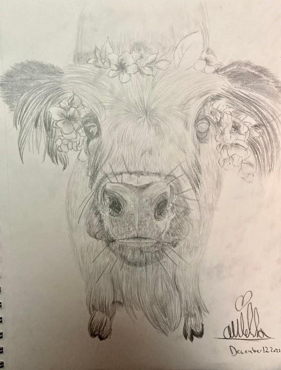 Flower Power in Pencil