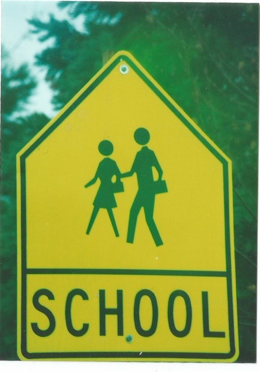 School Crossing