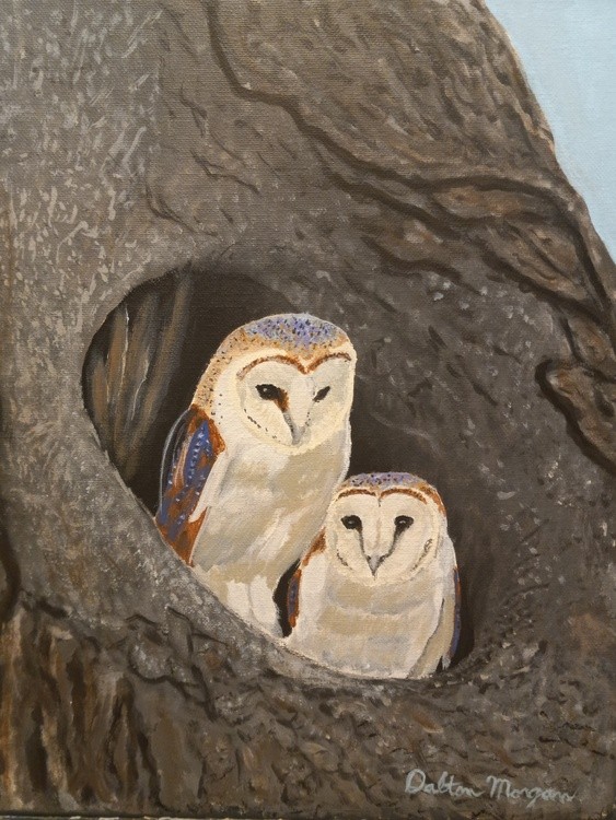 Owls at Home in a Tree