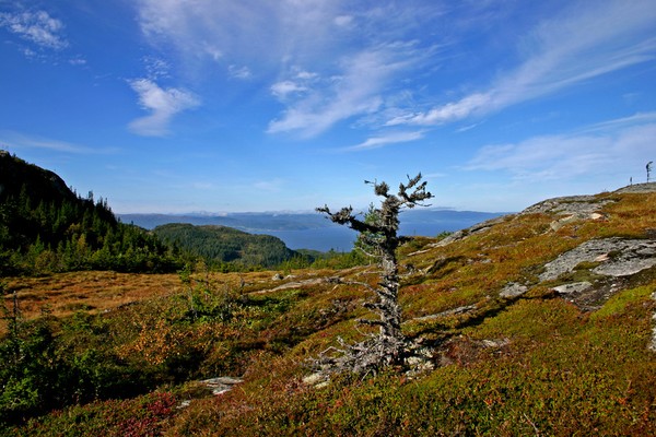 Twisted in the mountain