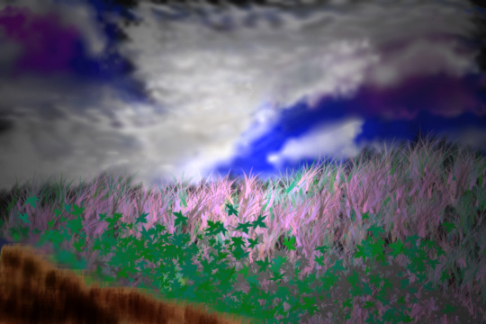 forbidden field