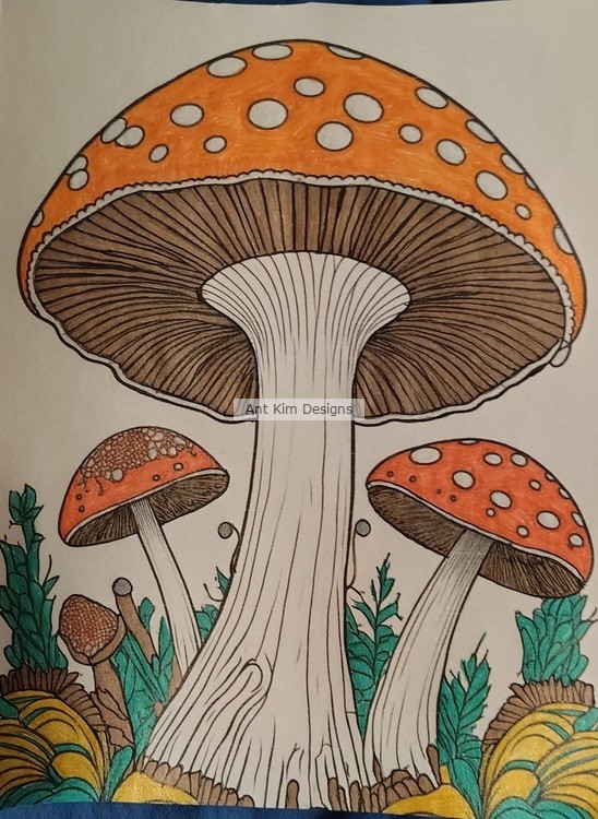 Mushroom Garden