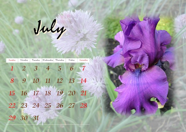 July Flower Calendar