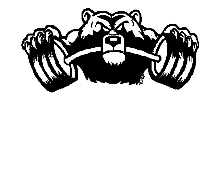 BEAR LAPEL PIN DESIGN
