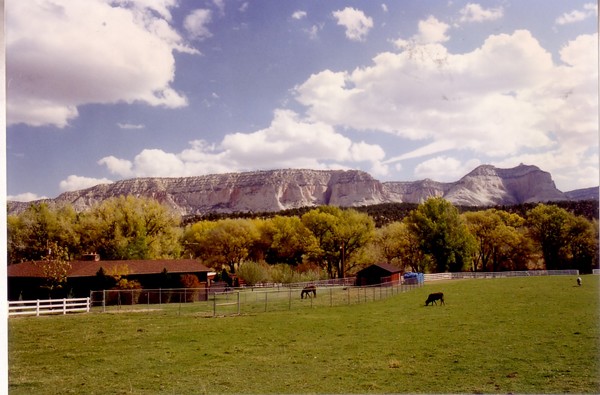 Mountain Farm