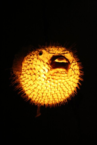 Blow Fish