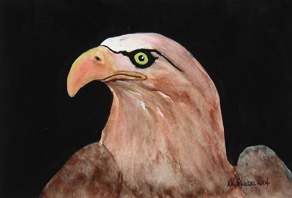 Bird of Prey